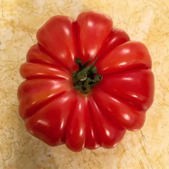 #Yum