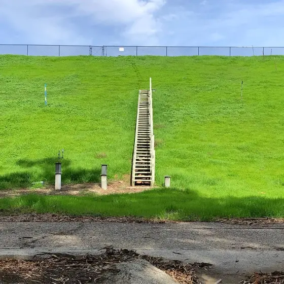 Stairway to ... ? (winter edition) #wintersummer #beforeandafter #greenandbrown #wetanddry