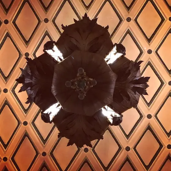 #lookingup